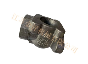 Brake pipe end plug valve body